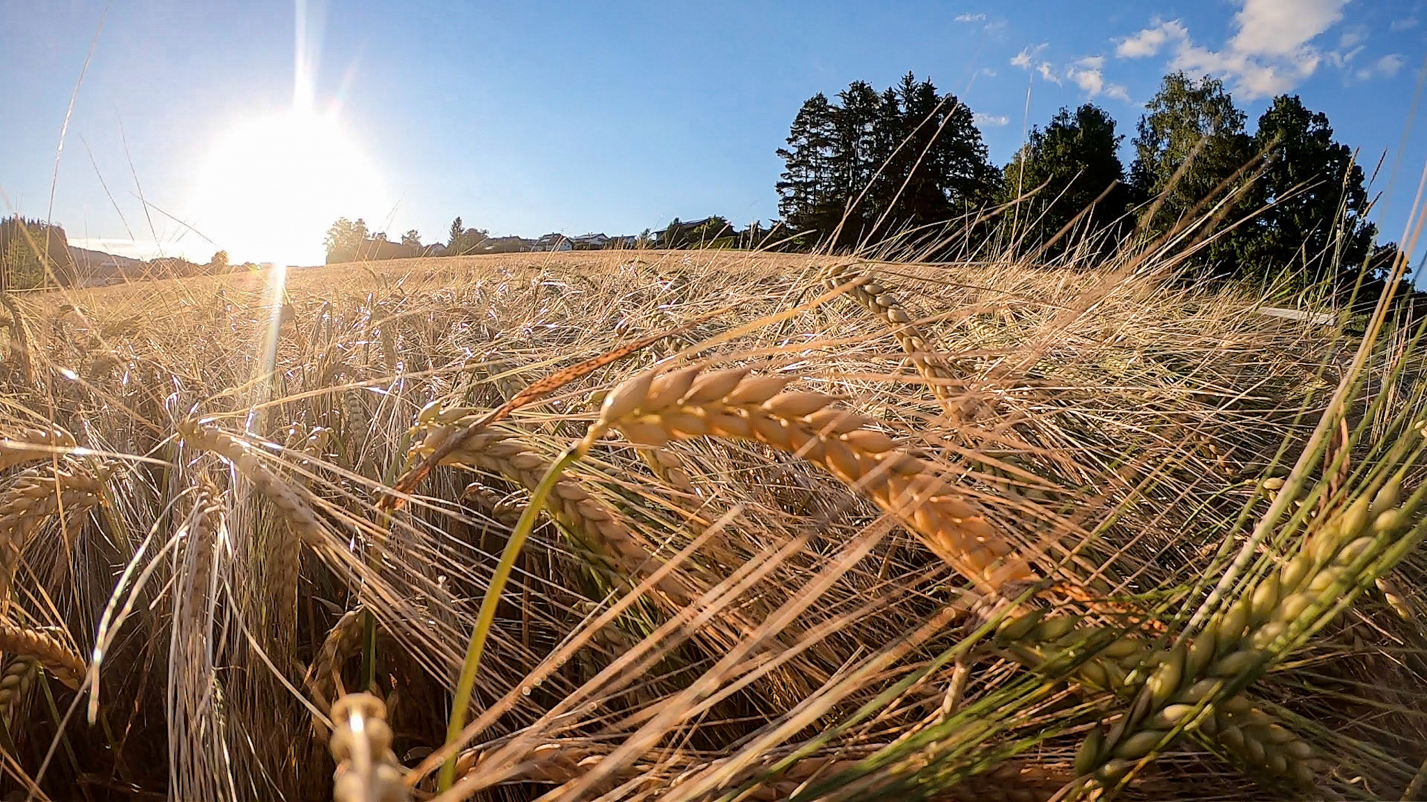 Karriere bei Pfleiderer Spezialpapiere